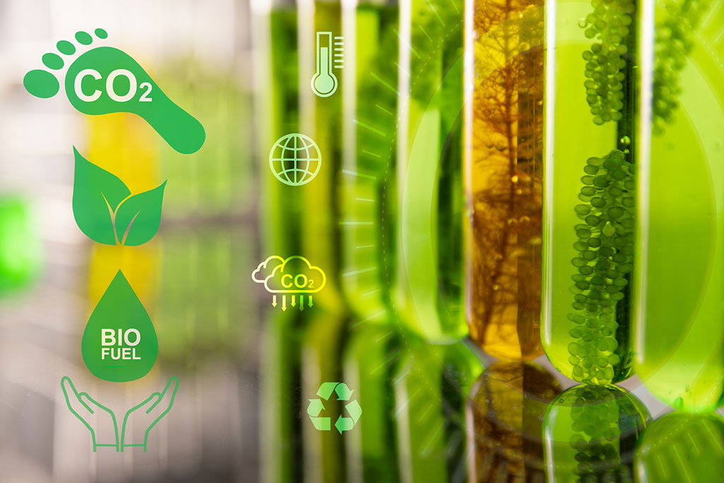 biofuel is the way forward